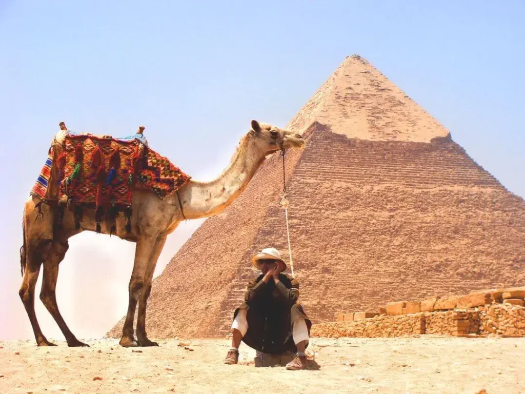 خطط إصلاح التعليم: مواجهة التحديات في النظام التعليمي الحالي