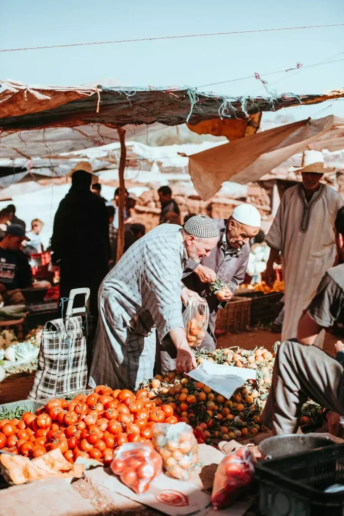 خطط إصلاح التعليم: مواجهة التحديات في النظام التعليمي الحالي